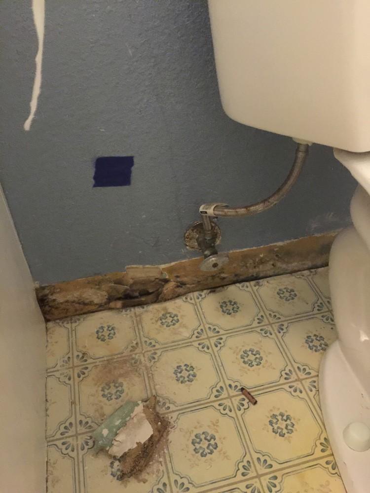 basement water damage restoration Tolleson AZ
