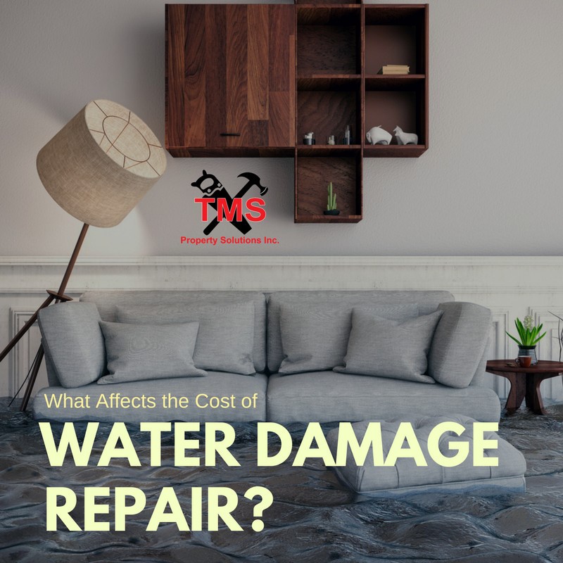 commercial water damage restoration Tyler TX