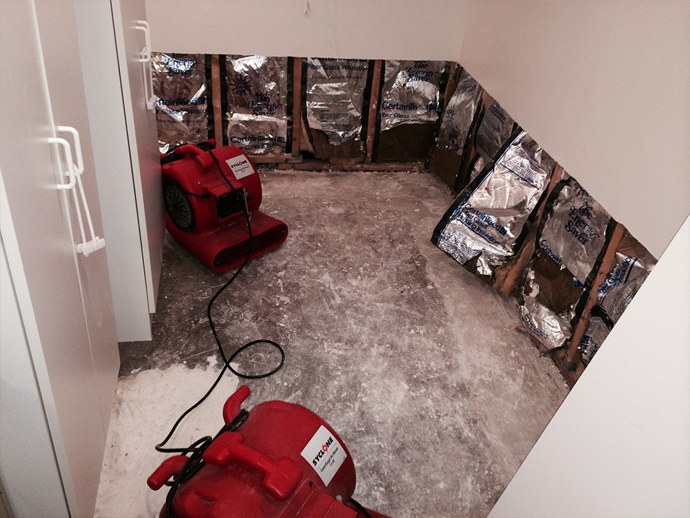 mold damage repair Struthers OH