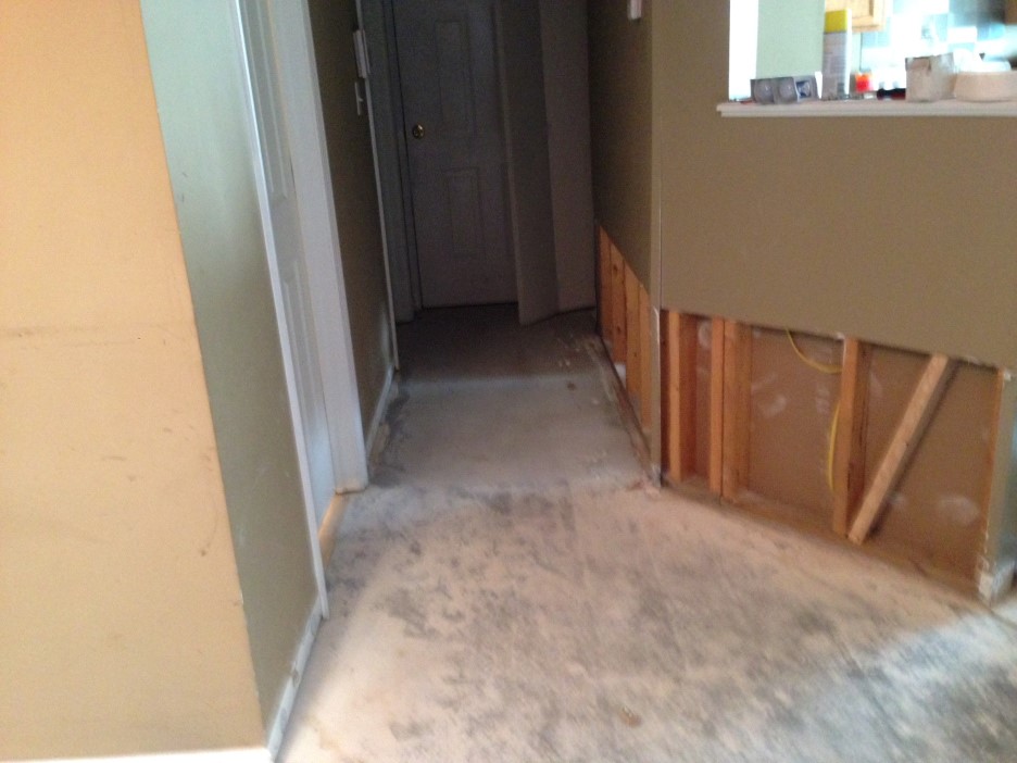 water damage repair Forest Grove OR