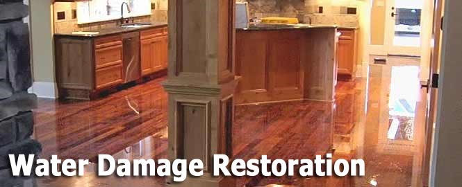 water damage cleanup near me Silver Firs WA