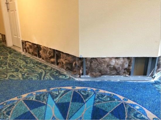 drywall water damage repair cost Buena Park CA