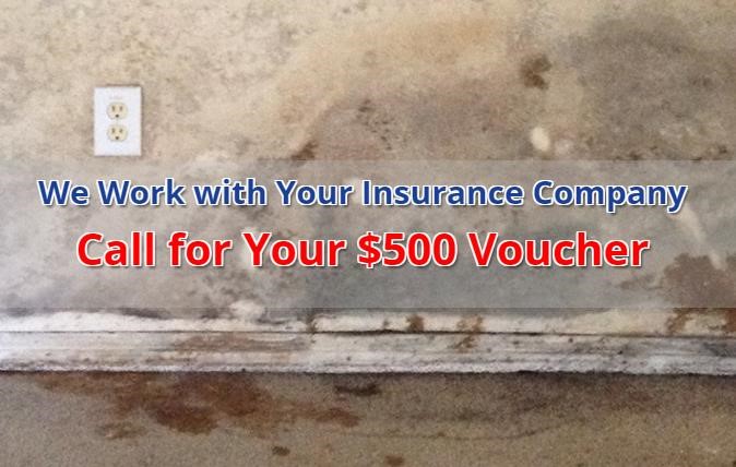 water damage mold repair Cheverly MD