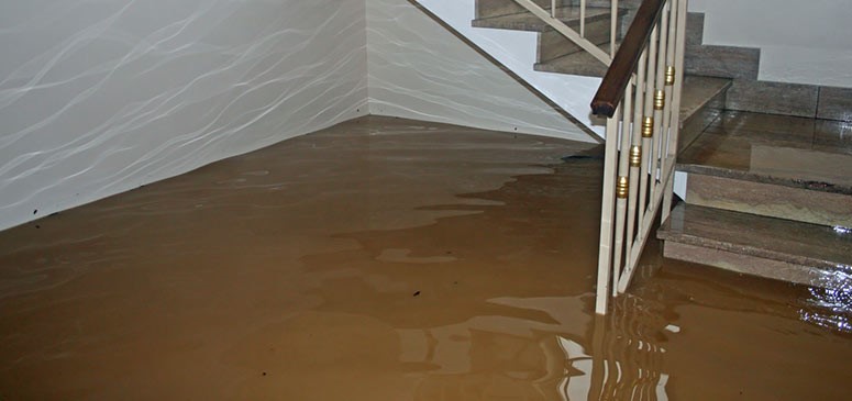hardwood water damage Celina TX
