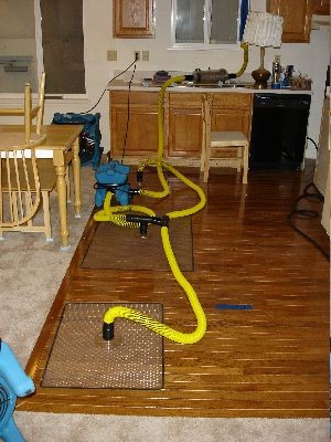 repair water damaged wood floor Monsey NY