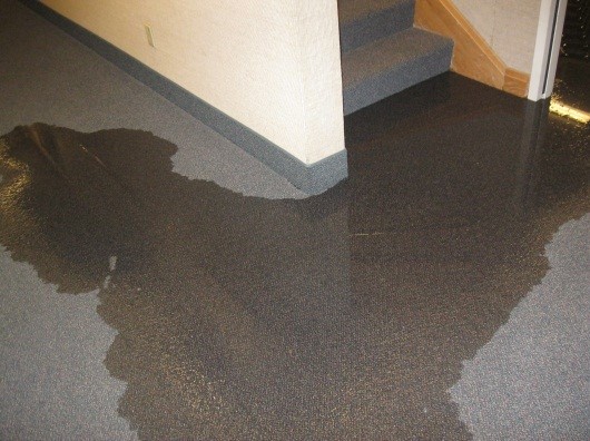 water damage mold Waseca MN