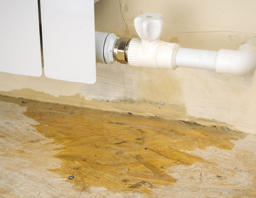 fire and water damage cleanup services Carson City NV