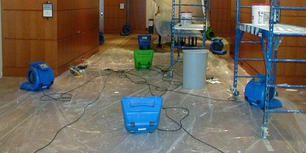 water damage insurance Wendell NC