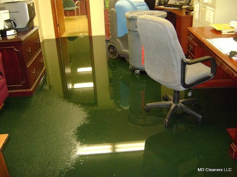 water damage mold clean up Colonia NJ