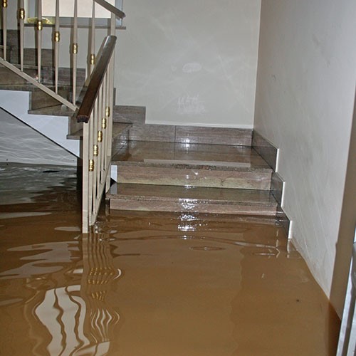 basement water damage restoration Royse City TX
