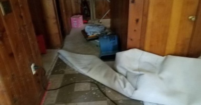 water damage mold clean up Hoffman Estates IL
