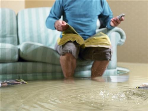 flood cleanup services Hartland WI