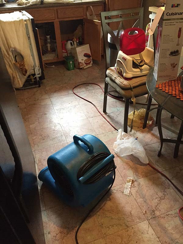 water damage repair service Clarion PA