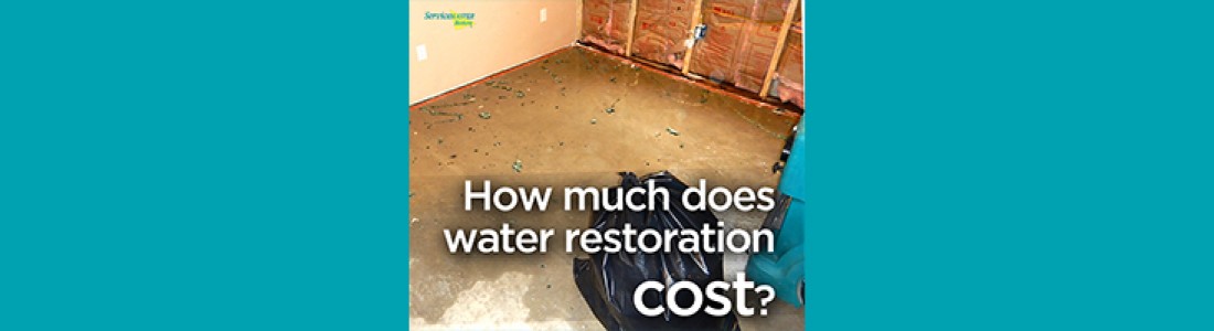 water damage restoration Corrales NM