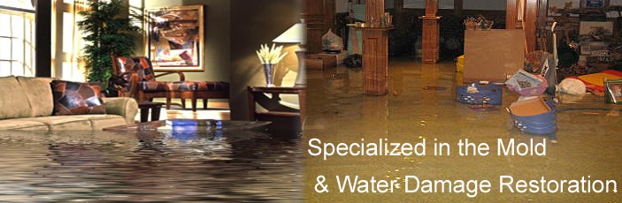 how to fix water damage Forked River NJ