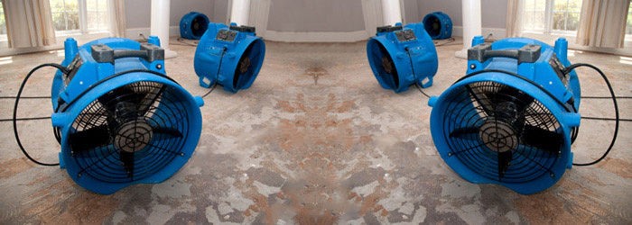carpet water damage restoration Dahlonega GA