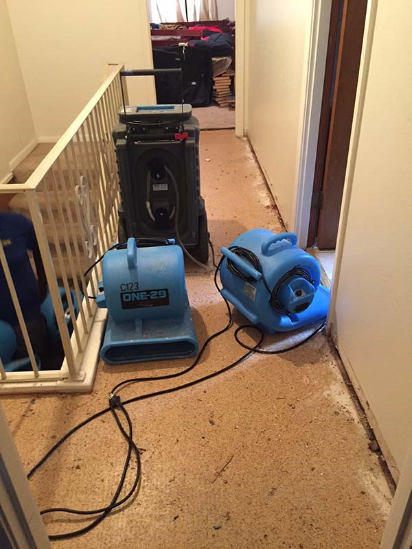 damage cleanup services Tenafly NJ