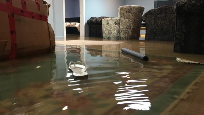 subfloor water damage repair cost Sarasota Springs FL
