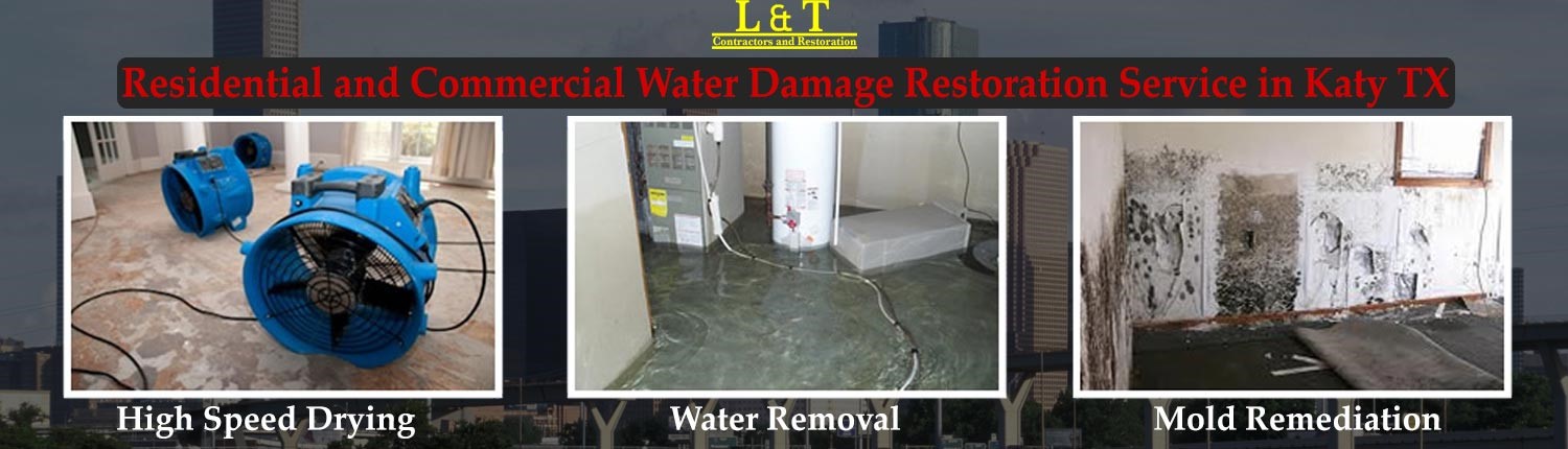 water damage in walls of house Chicago Ridge IL
