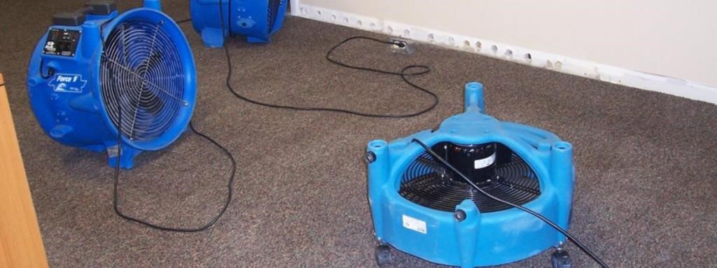 mold cleaning service Katy TX