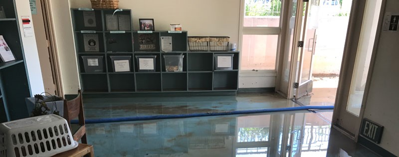 flood cleaning company Carthage MS