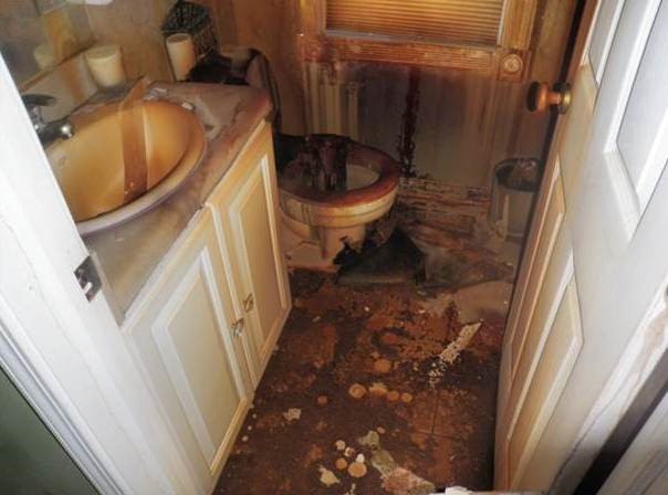 water damage professionals New Cassel NY