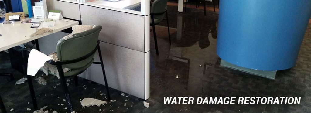 water damaged plaster Powder Springs GA