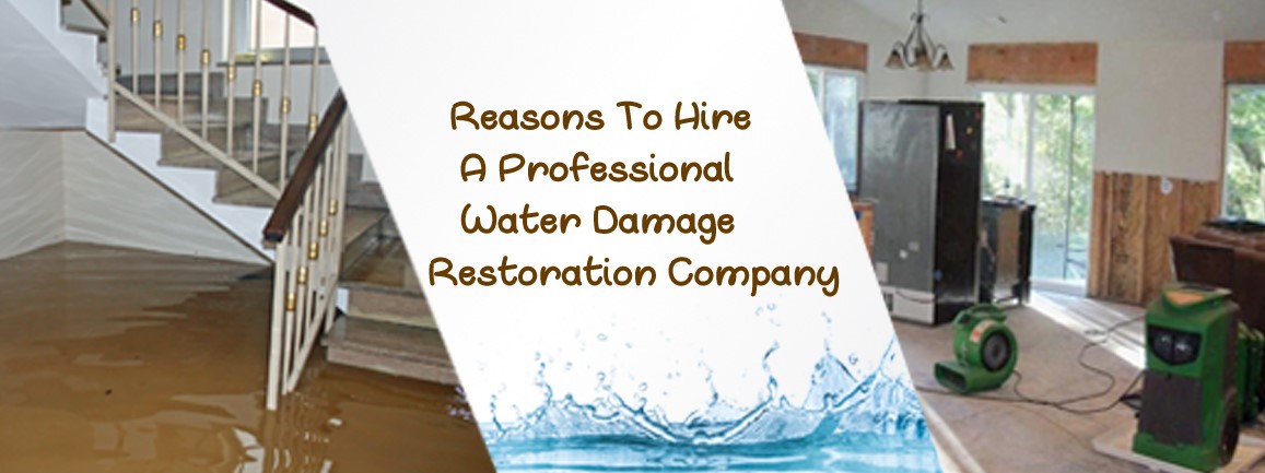 water damage cleanup near me Old Town ME