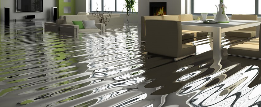 water damage solutions Caldwell NJ