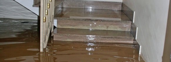 water damage orlando Texarkana AR