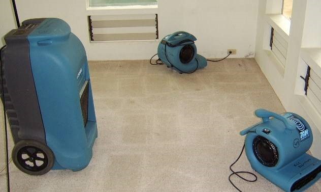 water damage inspection cost Cooper City FL