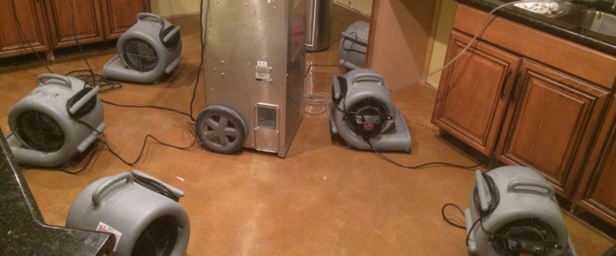 water damage mold clean up Central LA