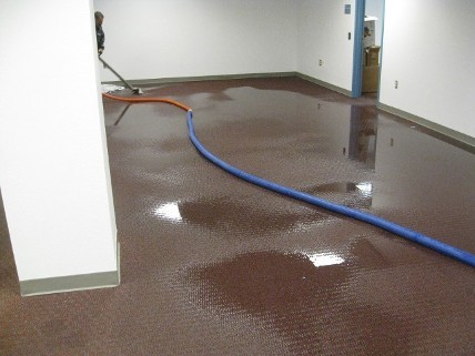water damage specialists Woodlake VA