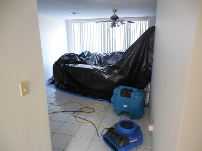 water damage mold clean up Casselberry FL